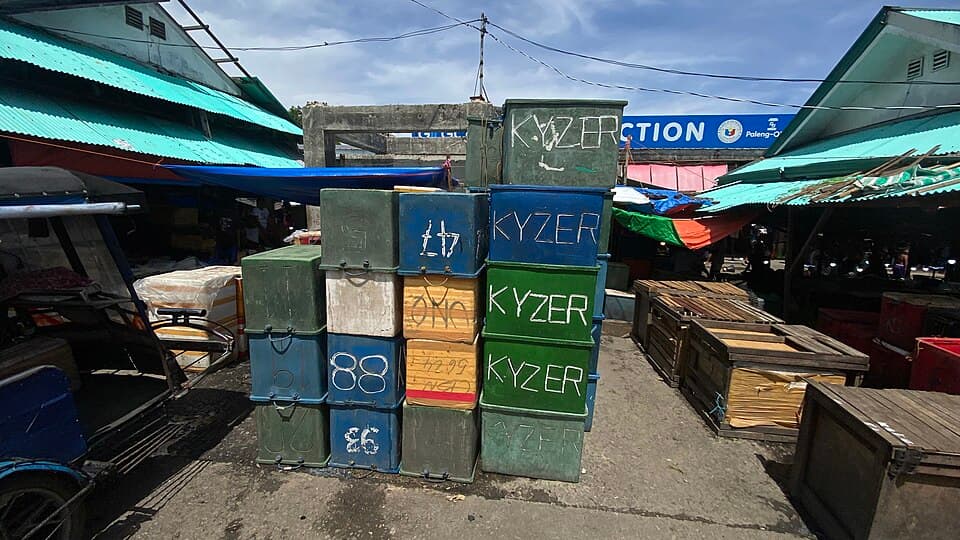 Insulated plastic fish boxes (or ice cooler containers) sitting in an alleyway of the Toledo City Public Market