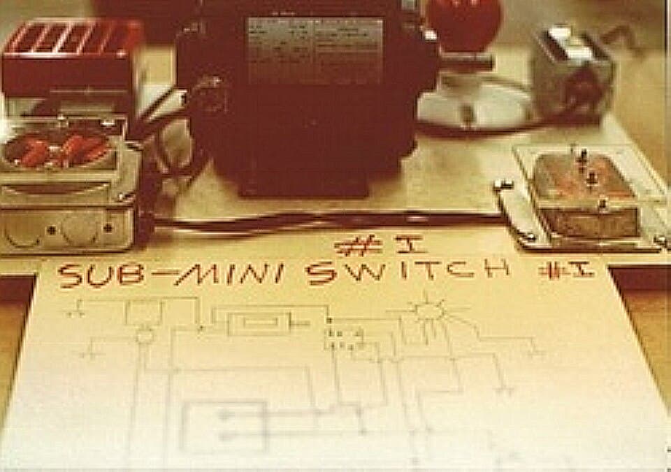 Micro Limit Switch with Lever (Pack of 5)